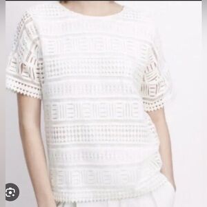 Vince Cream Oversized Blouse Short Sleeve New